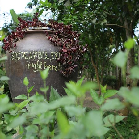 Thuy Bieu Homestay Hue Exterior photo