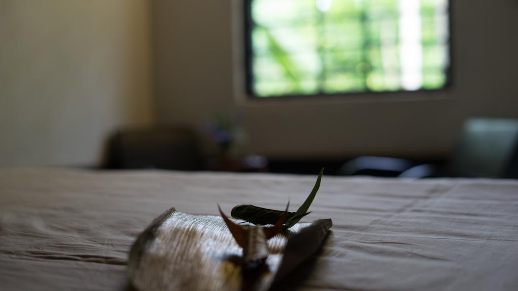 Thuy Bieu Homestay Hue Exterior photo