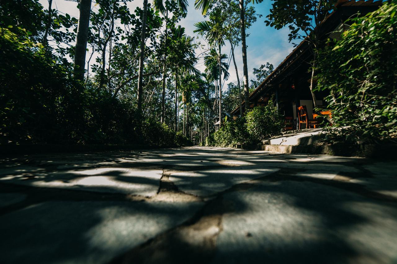 Thuy Bieu Homestay Hue Room photo