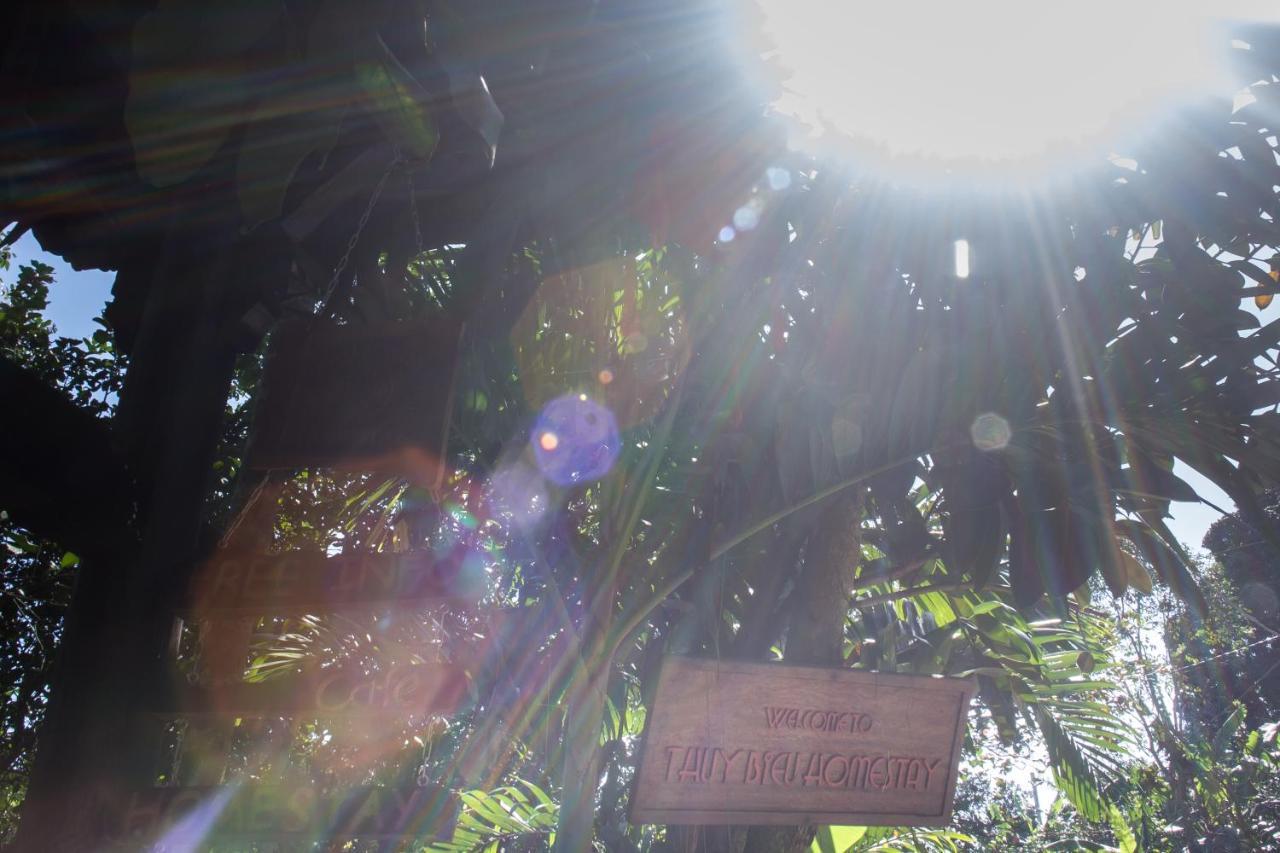Thuy Bieu Homestay Hue Room photo